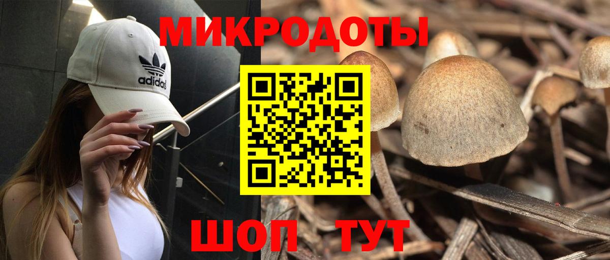 Псилоцибиновые грибы ЛСД Красногорск